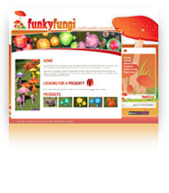 Website Design Rockingham