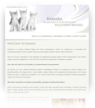 Website Design Perth WA