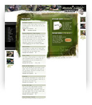 Website Design Perth WA