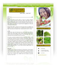 Website Design Perth WA