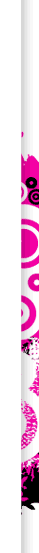 Perth Web Site Design